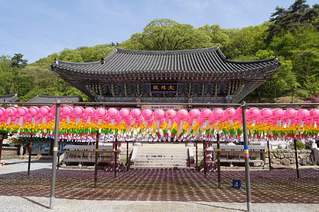 b-DSC00507.JPG
