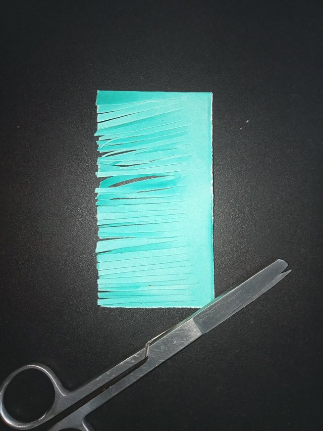 1000024232.jpg