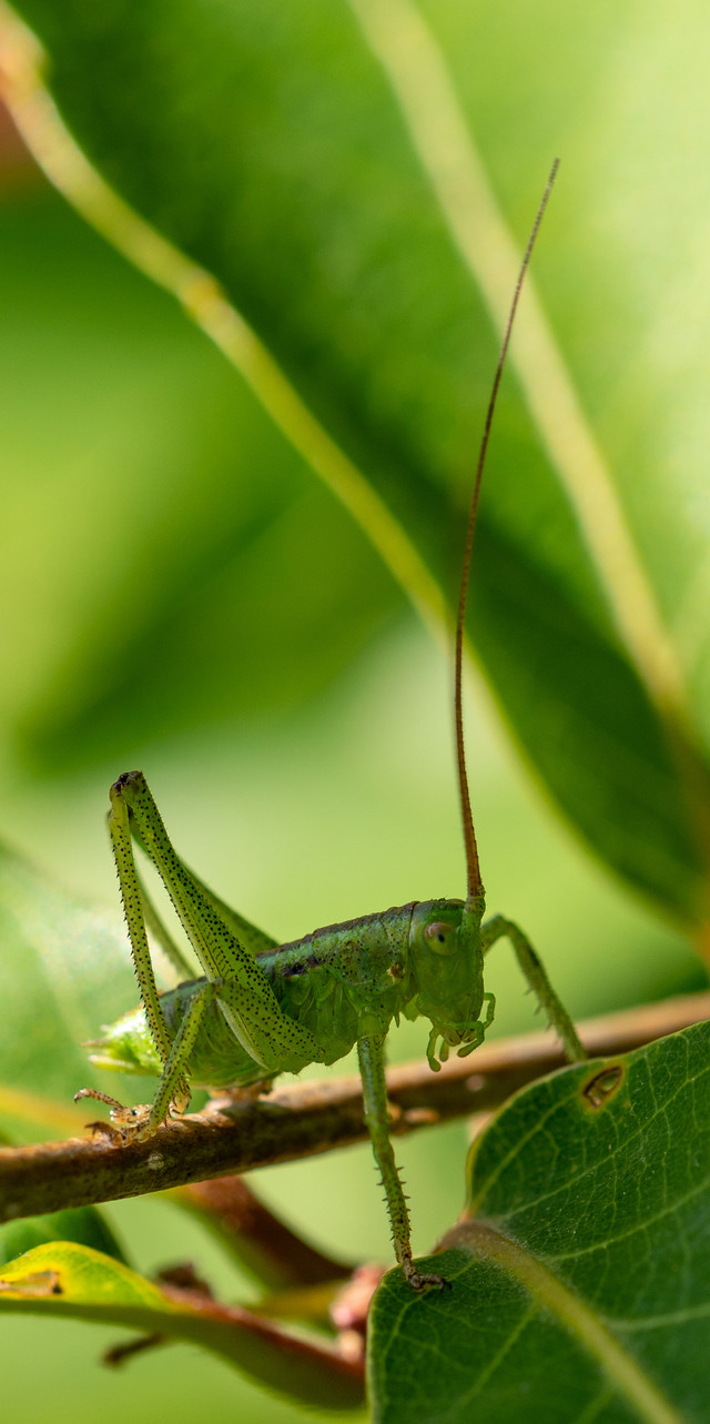 DSC03150-1.jpg