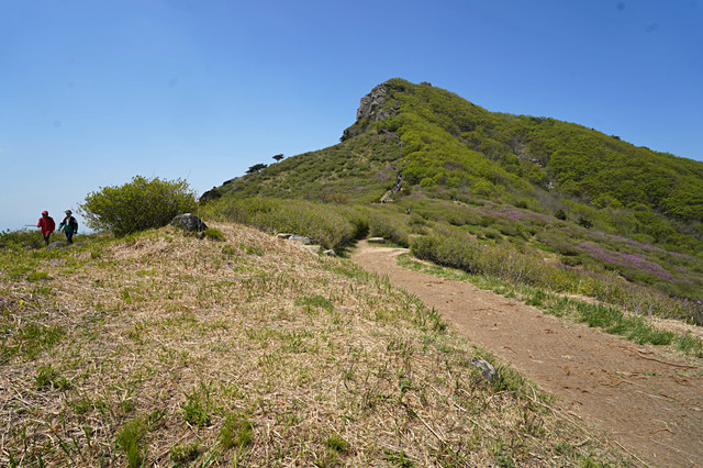 b-DSC02917.JPG