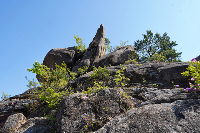 b-DSC03260.JPG
