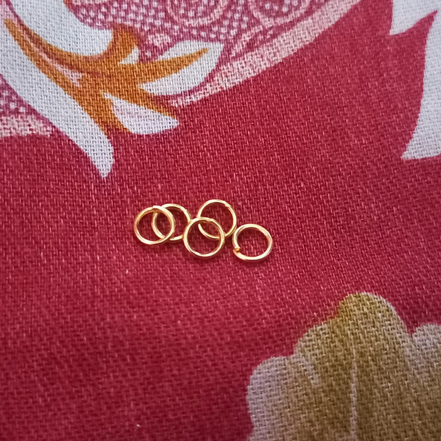 1000095318.jpg