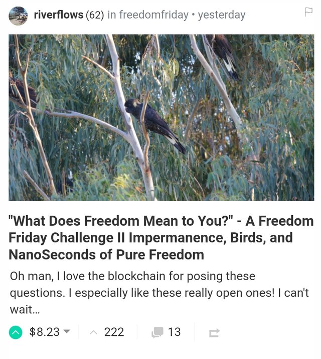 riverflows.jpg