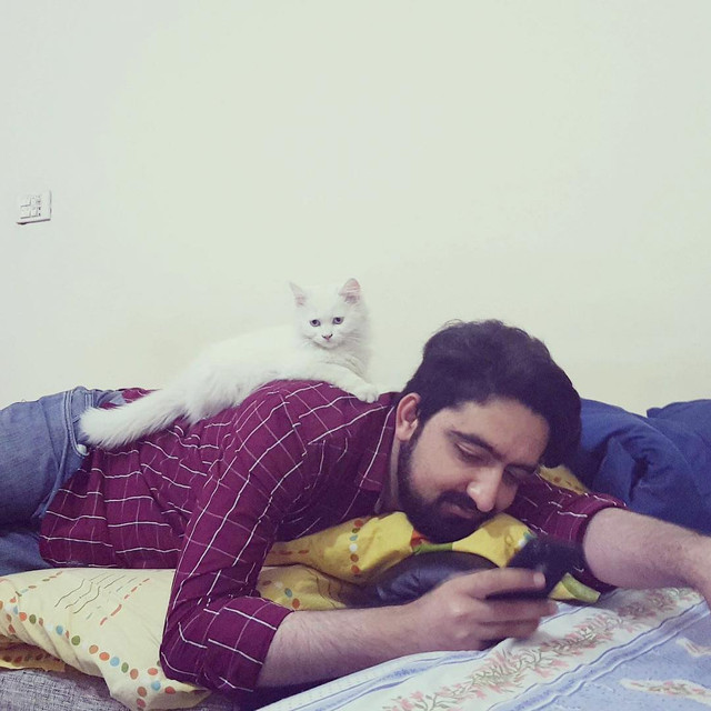 cat love.jpg