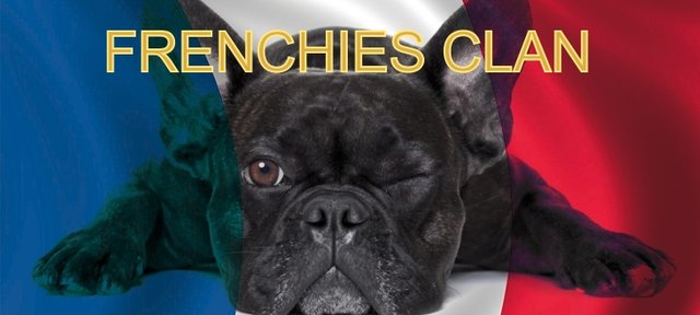 frenchies2.jpg