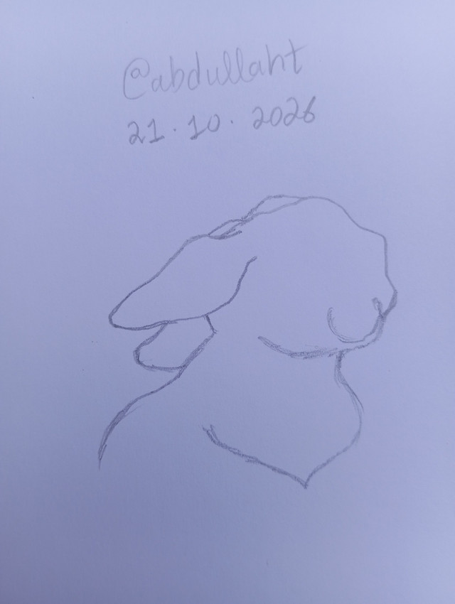 1000240049.jpg