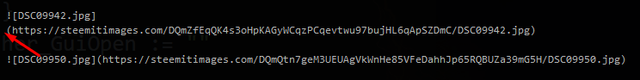 codehelper.png