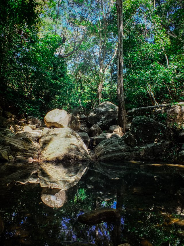 Reflejos-5.jpg