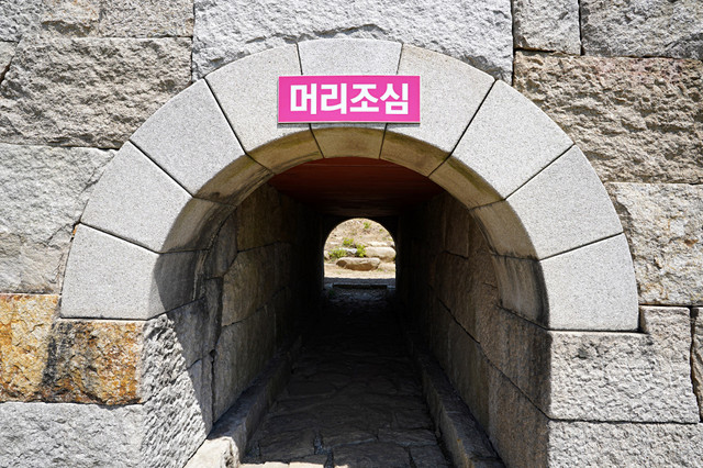 b-DSC02956.JPG