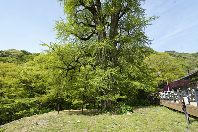 b-DSC00474.JPG