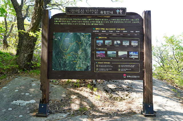 b-DSC03193.JPG