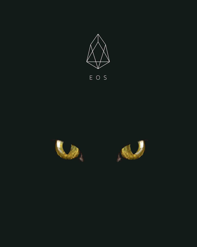 cat eyes.jpg