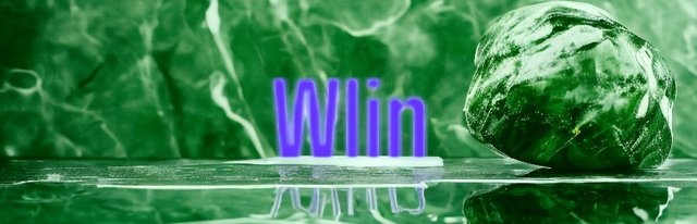 1000080881.jpg