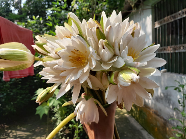 1000527900.jpg