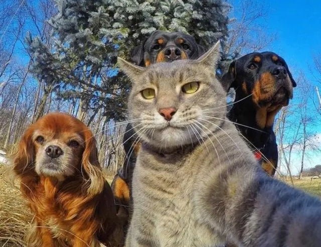 the boys.jpg