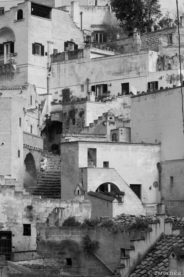 IMGP2081bw.jpg
