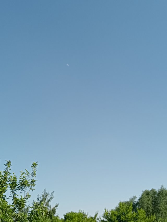 1000007261.jpg