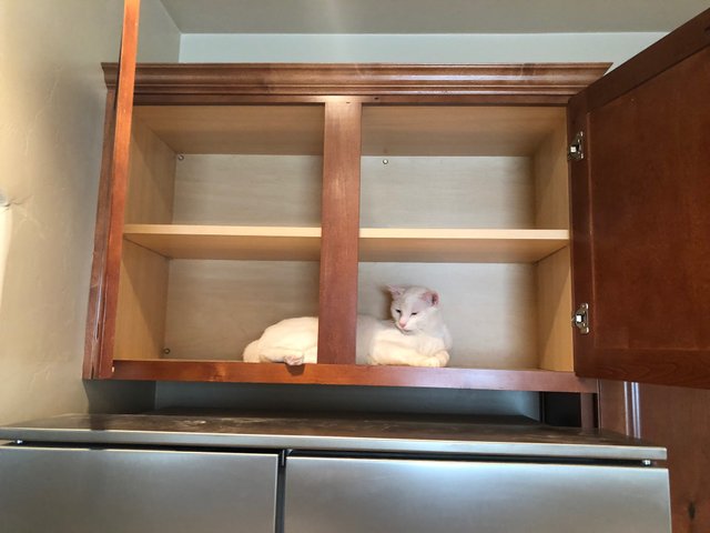 hiding 2.jpg