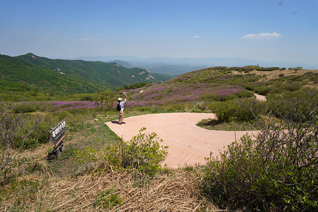 b-DSC02900.JPG