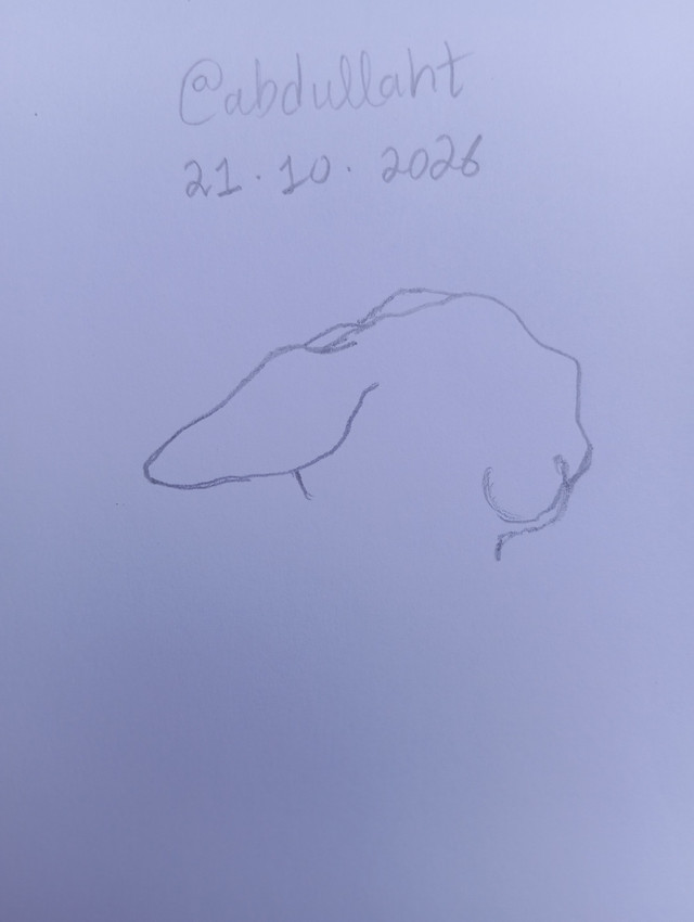 1000240048.jpg