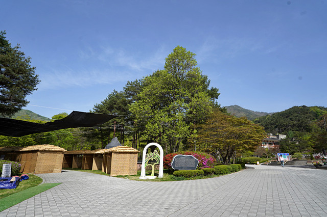 b-DSC00435.JPG