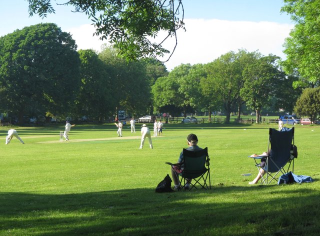 Cricketers.JPG