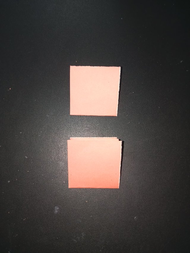 1000026210.jpg