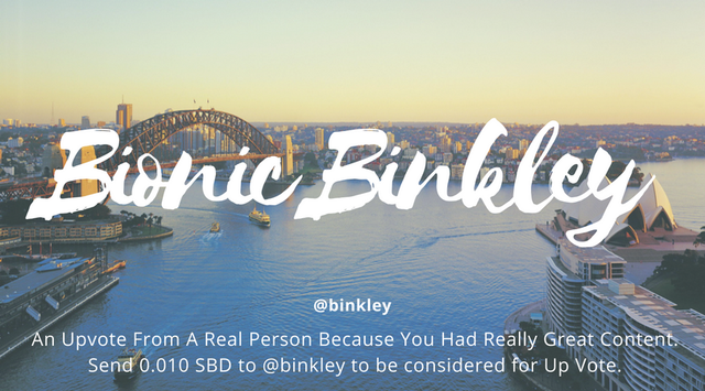 binkleybot.png
