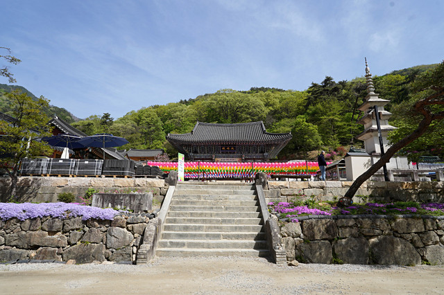 b-DSC00481.JPG