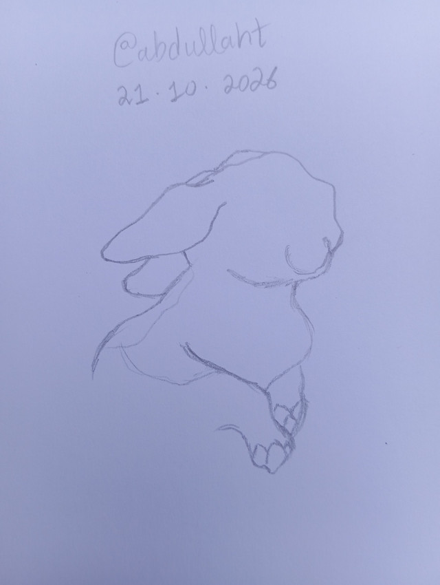 1000240050.jpg