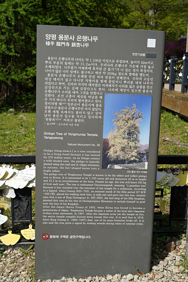 b-DSC00472.JPG