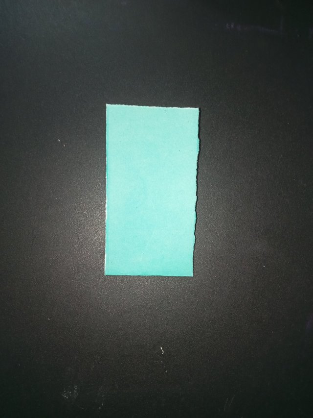 1000024229.jpg