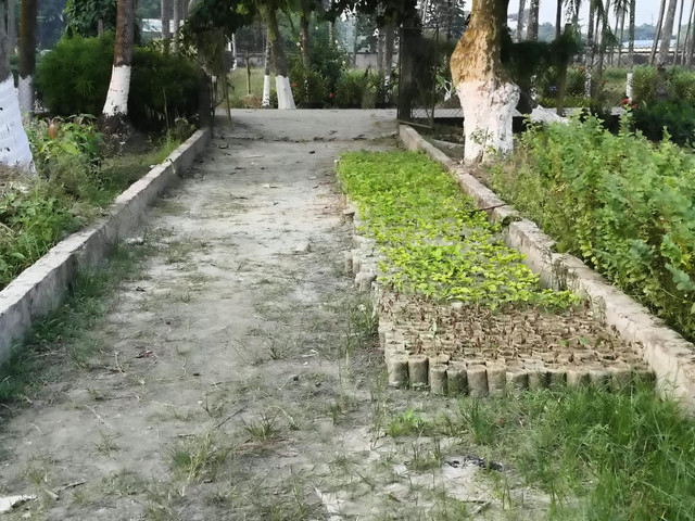 1000389917.jpg