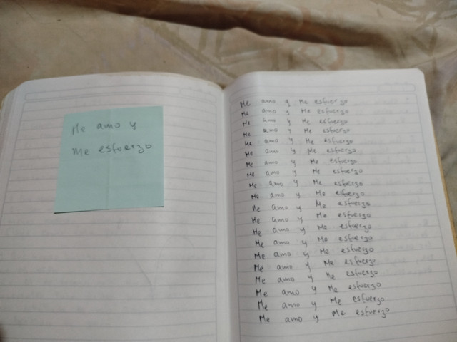 1001515009.jpg