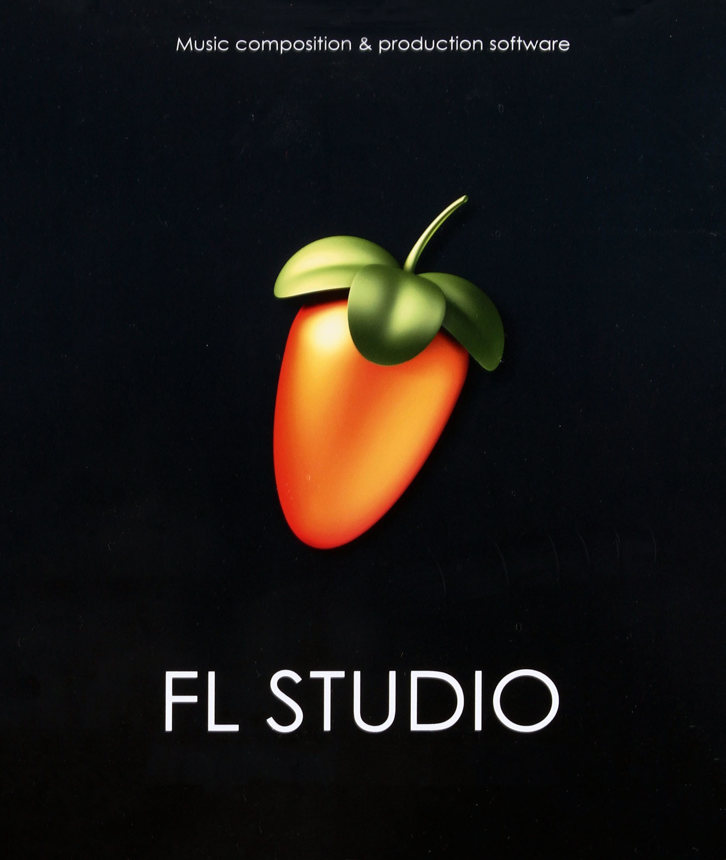 flstudio_1.jpg