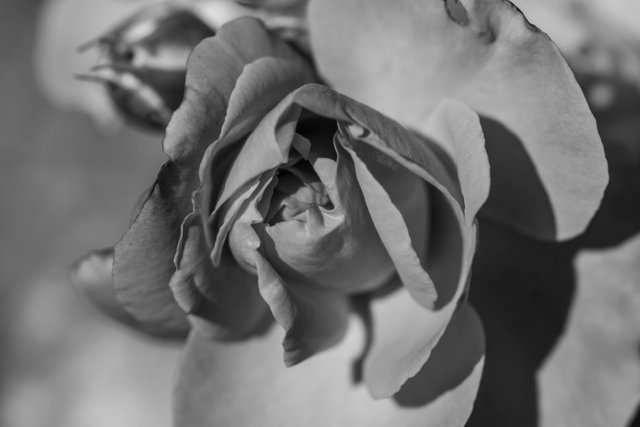 DSC_5601-2.jpg