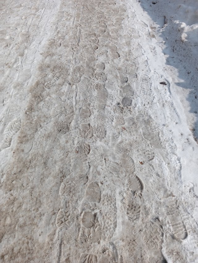 1000025258.jpg