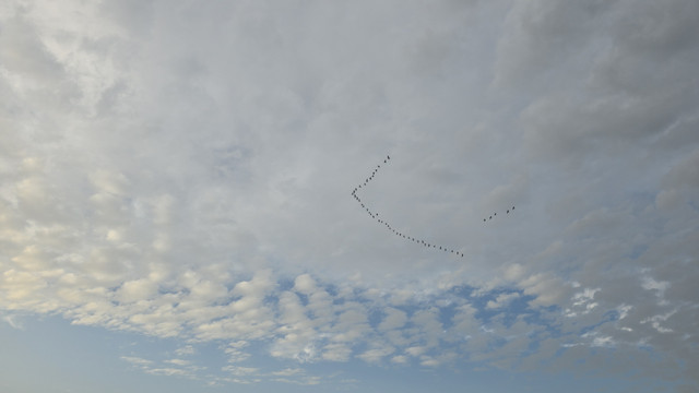 1000176316.jpg