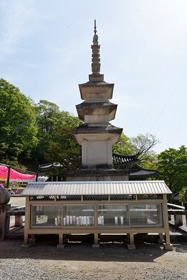 b-DSC00484.JPG