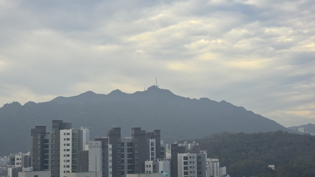 1000176442.jpg