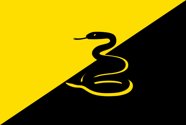 Либертарианец анкап. Флаг анархо капитализма. Анкап флаг. Символ анархо капитализма. Флаг анархо капитализма.