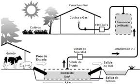 BIODIGETOR.jpg