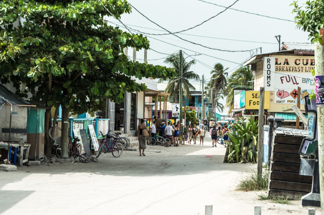 #3 The underwater world of Caye Caulker, Belize (Gopro movies)