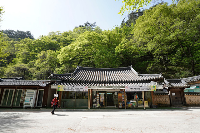 b-DSC00464.JPG
