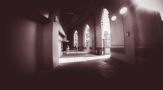 G0051021-3.JPG