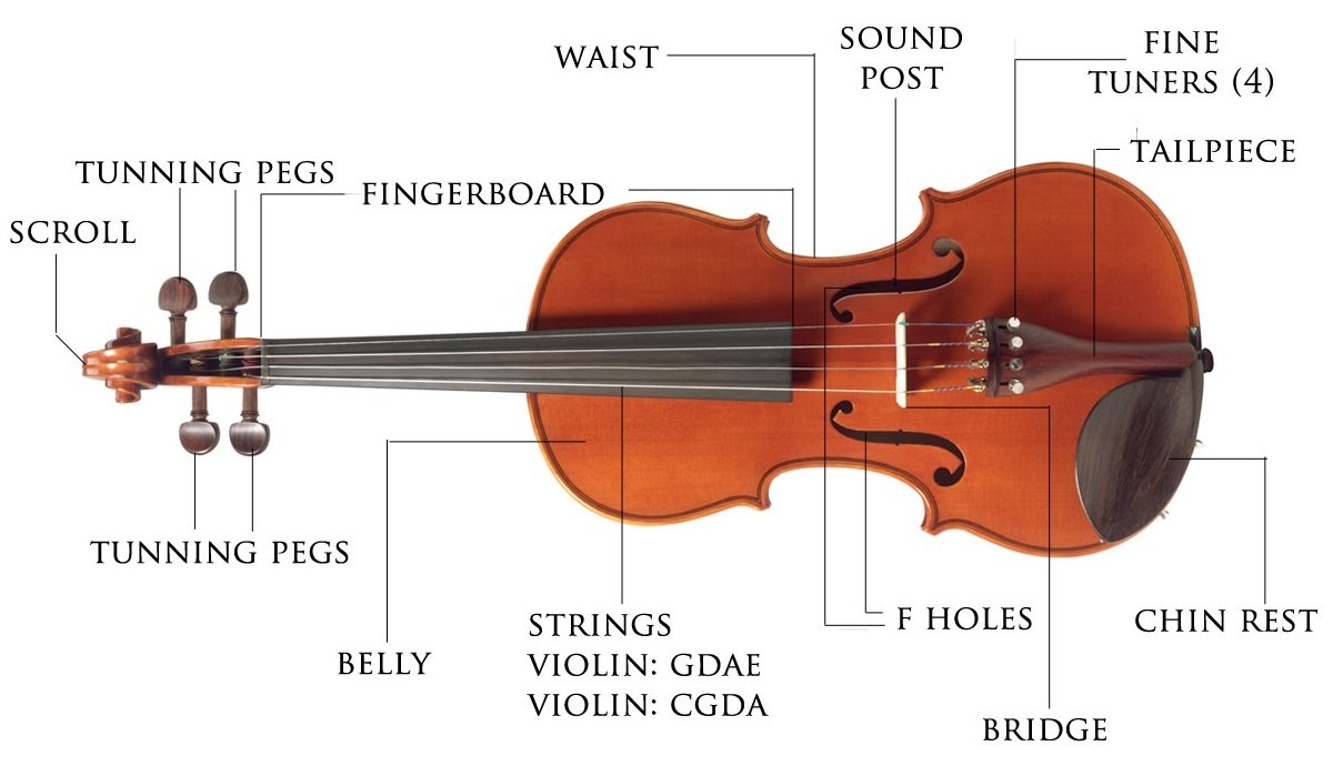 Диапазон скрипки. Violin Parts. Парт скрипки. Части скрипки и их название. Части скрипки на английском.