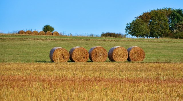 Agroecology-replaces-monocropping-and-increasing-crop-yields-1.jpg