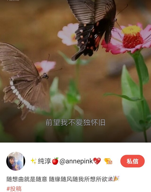 Screenshot_20190817_091401_com.tencent.karaoke_mh1566005114959.jpg