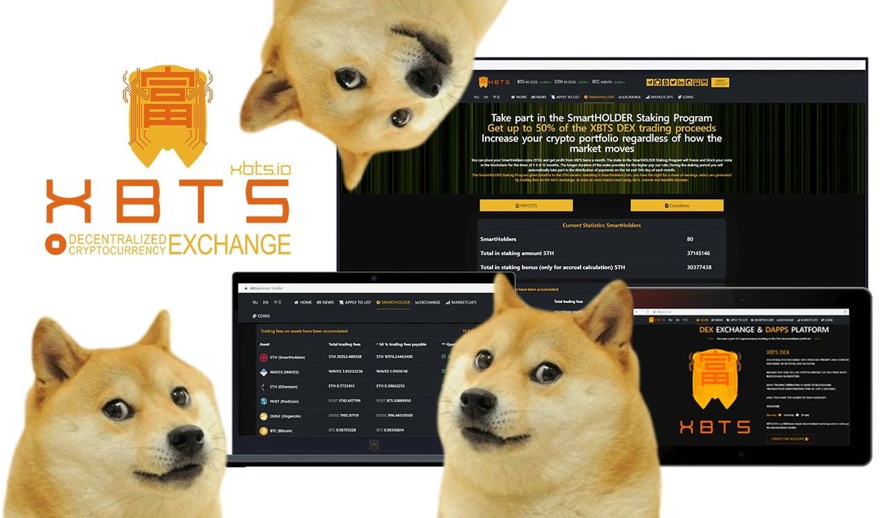Вывод токенов dogs. Вывод токенов dogs. Вывод токенов dogs. Корги токен. Nft токен.