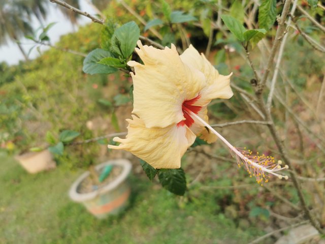 IMG_20231121_160103_1.jpg